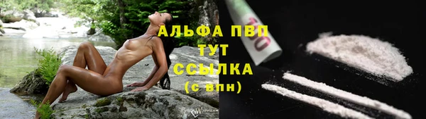 винт Баксан