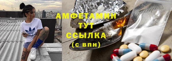 стаф Корсаков