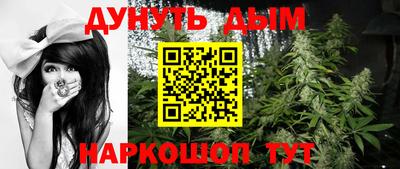 индика Гатчина