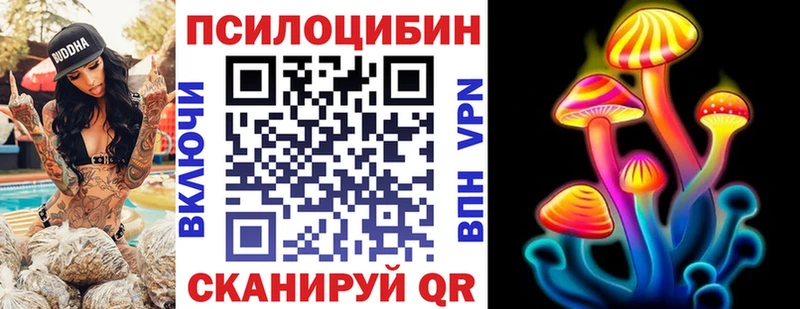как найти закладки  Видное  мориарти Telegram  Псилоцибиновые грибы мицелий 