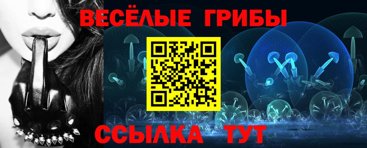 Видное  Галлюциногенные грибы Cubensis  Вход с VPN  Галлюциногенные грибы Psilocybe 